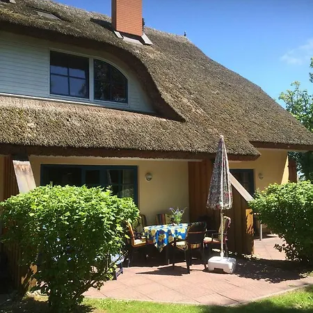 Ferienhaus Holunder 2 Poseritz